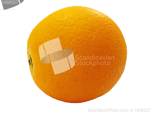 Image of orange