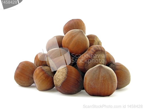 Image of hazel nuts    