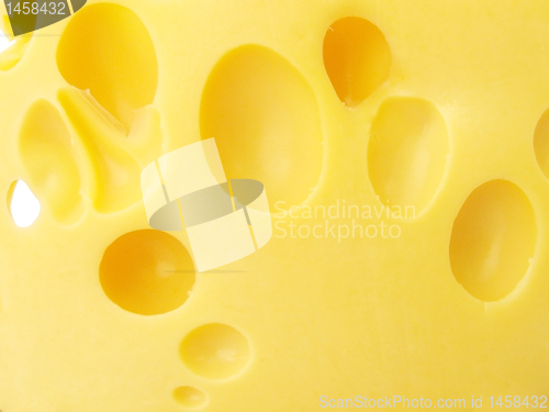 Image of  cheese 