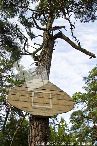 Image of Basketball board without hoop attached to tree.