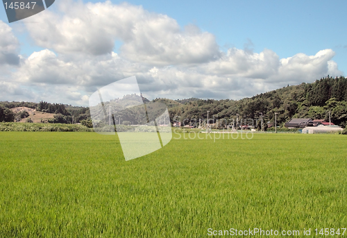 Image of Rural Japanese landscape