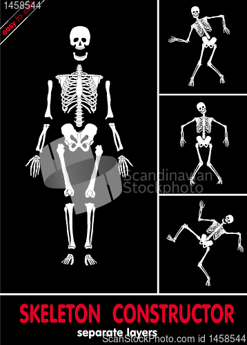 Image of Skeleton constructor