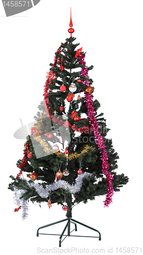 Image of Christmas tree