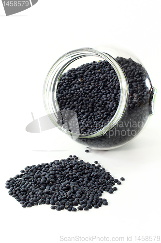 Image of Beluga lentils