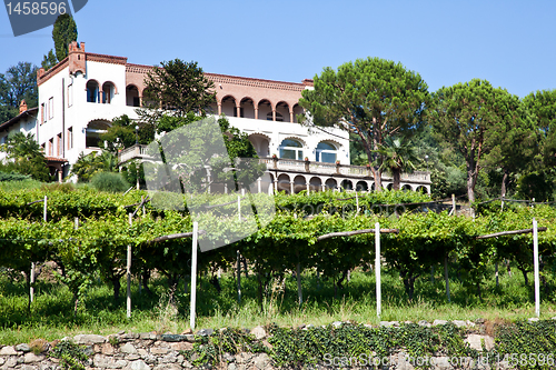 Image of Italian charming villa in vineyard