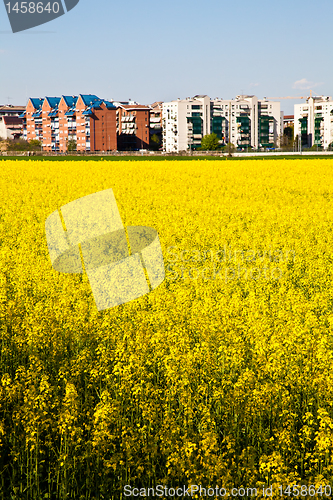 Image of Building in the country