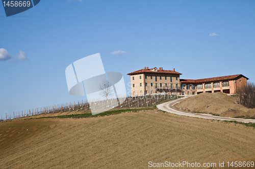 Image of Italian villa with vineyard: spring season