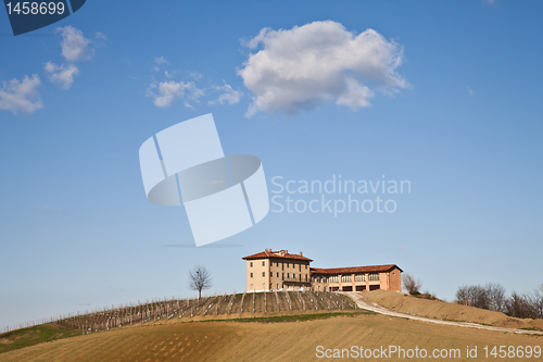 Image of Italian villa with vineyard: spring season