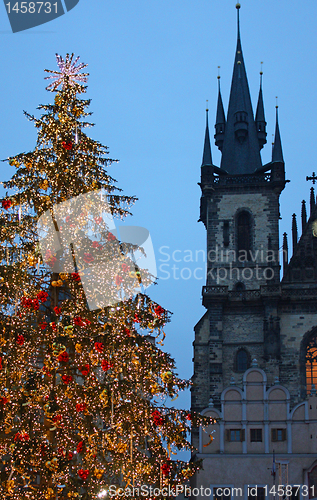 Image of Christmas tree in Prague - vertical