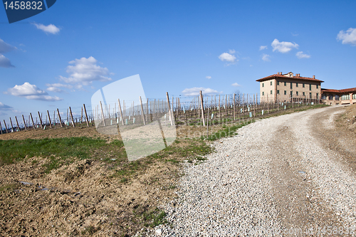 Image of Italian villa with vineyard: spring season