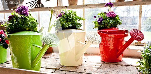 Image of Garden - Watering can