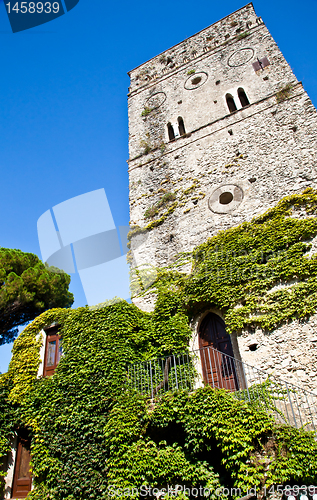 Image of Castle covered by ivy