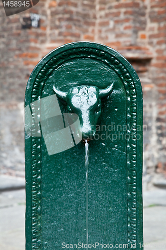 Image of Bull fountain