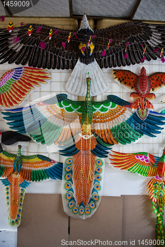 Image of Handmade Chinese Kite laboratory