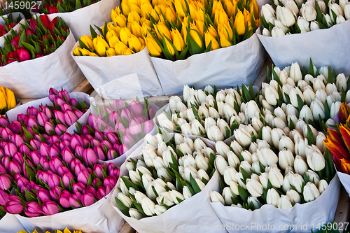 Image of Amsterdam flowers market