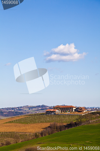 Image of Italian villa with vineyard: spring season