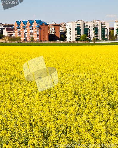 Image of Building in the country