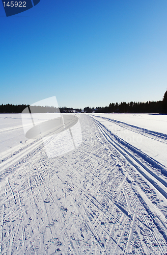 Image of Winter landscape