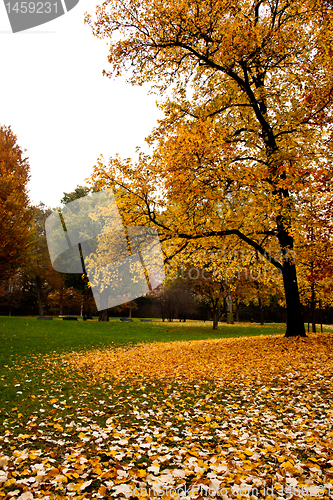 Image of Autumn in Italy