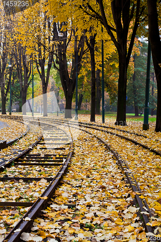 Image of Autumn in Italy