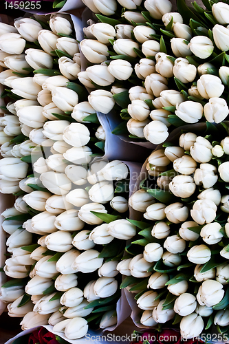 Image of Amsterdam flowers market