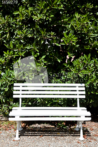 Image of White bench