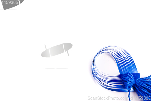 Image of Bow on white