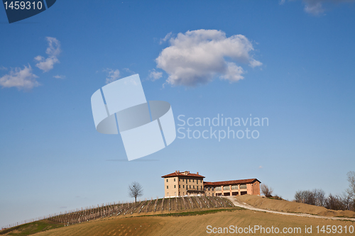 Image of Italian villa with vineyard: spring season