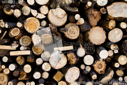 Image of Backgrounds: wood