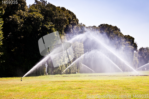 Image of Luxury garden: irrigation