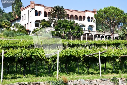 Image of Italian charming villa in vineyard