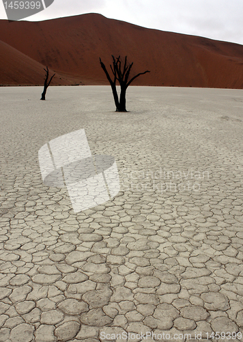 Image of  desert