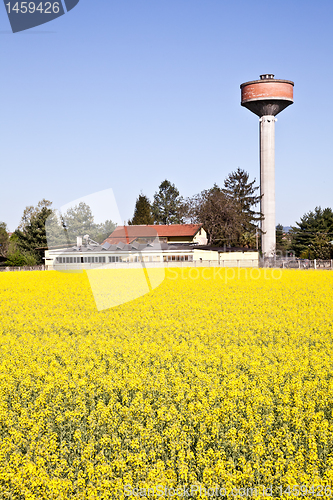 Image of Country and water tower
