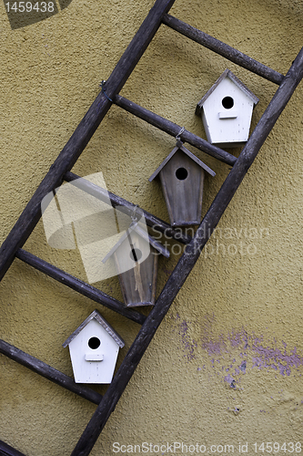 Image of Bird houses