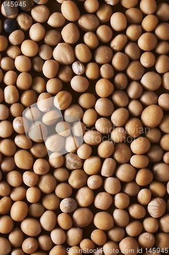 Image of Mustard seeds