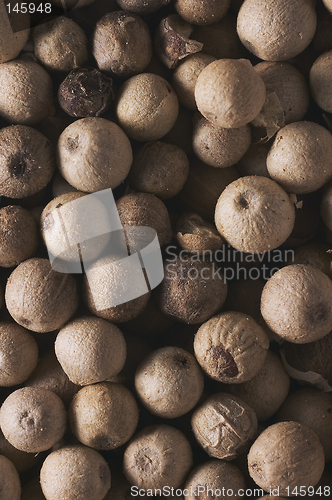Image of Pepper closeup