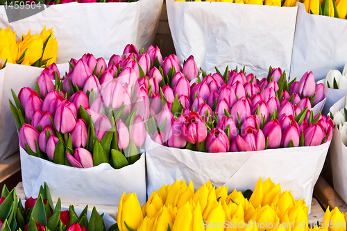 Image of Amsterdam flowers market