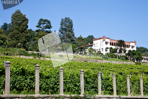 Image of Italian charming villa in vineyard