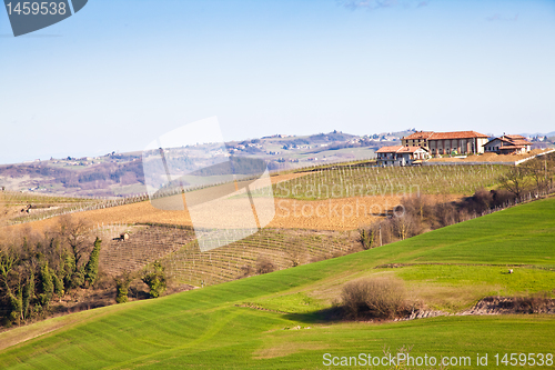 Image of Italian villa with vineyard: spring season