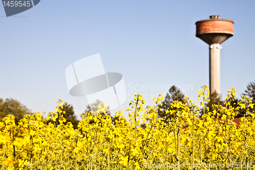 Image of Country and water tower