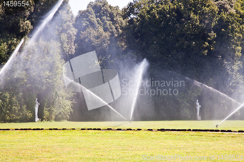 Image of Luxury garden: irrigation