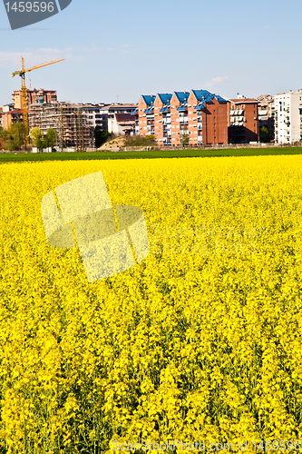 Image of Building in the country