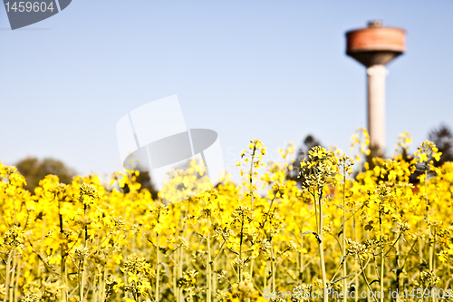 Image of Country and water tower