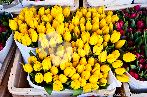 Image of Amsterdam flowers market