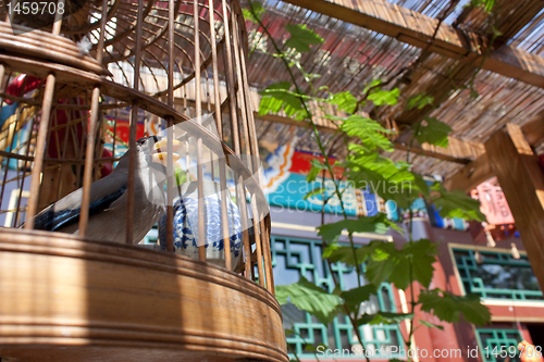 Image of Traditional Chinese courtyard house