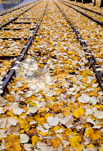 Image of Autumn in Italy