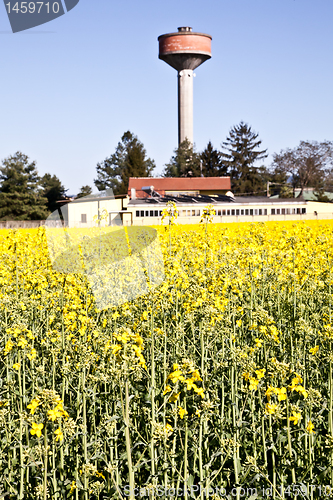 Image of Country and water tower