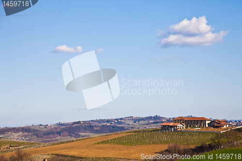 Image of Italian villa with vineyard: spring season