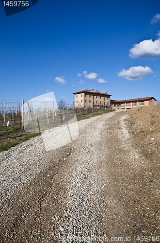 Image of Italian villa with vineyard: spring season