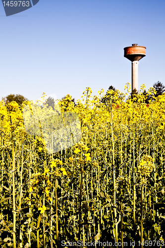 Image of Country and water tower